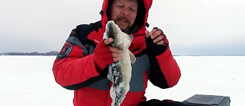 Какие ратлины вибы для зимней рыбалки на судака работают лучше всего?